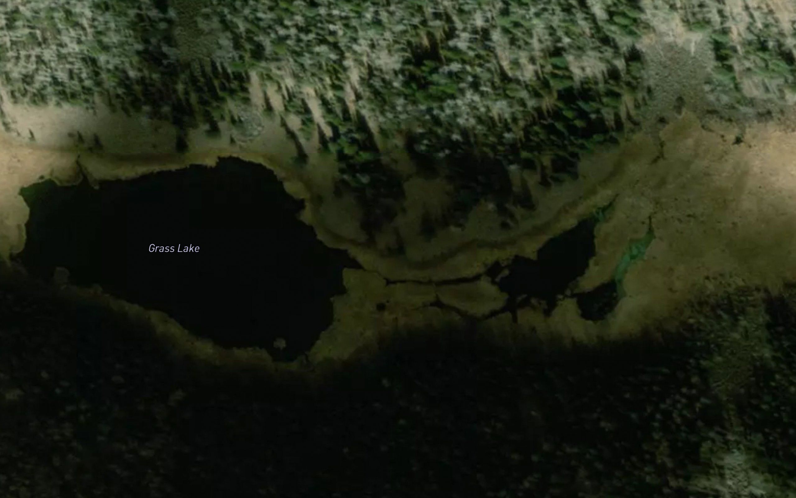 Grass Lake