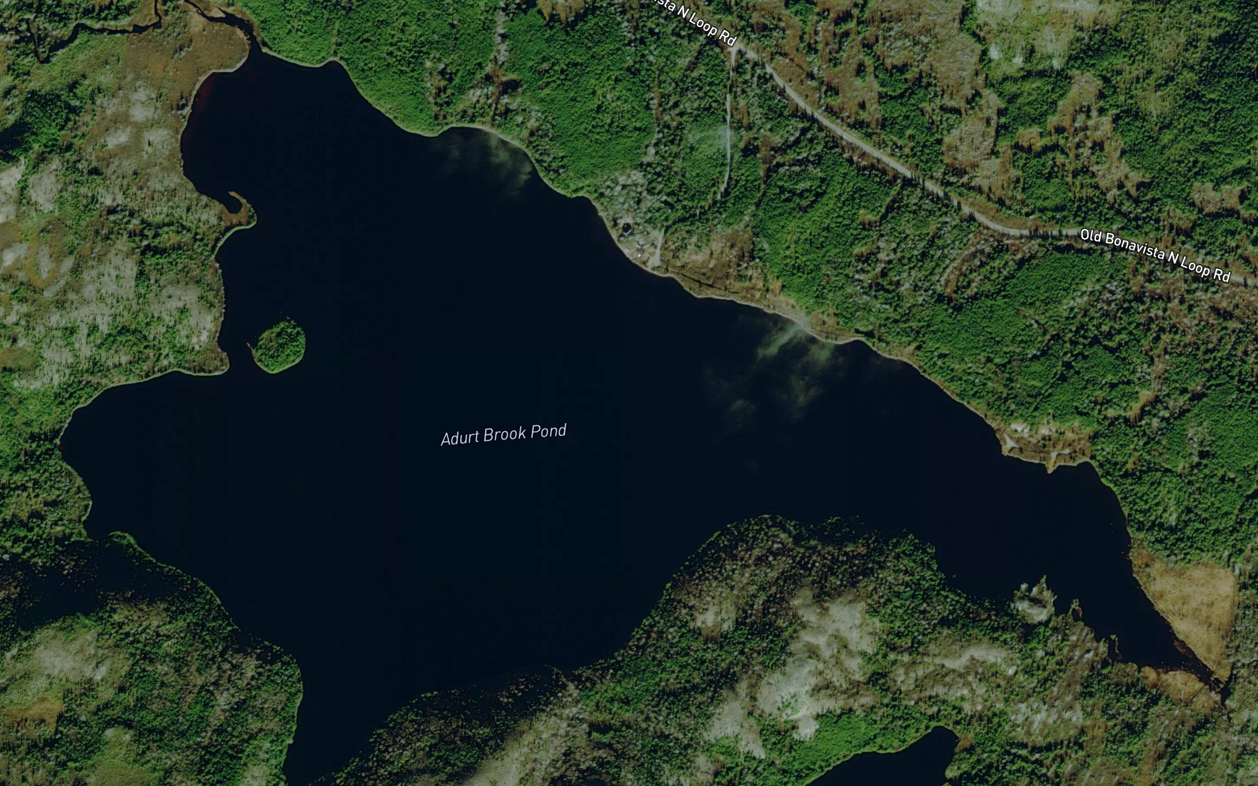 Thwart Pond