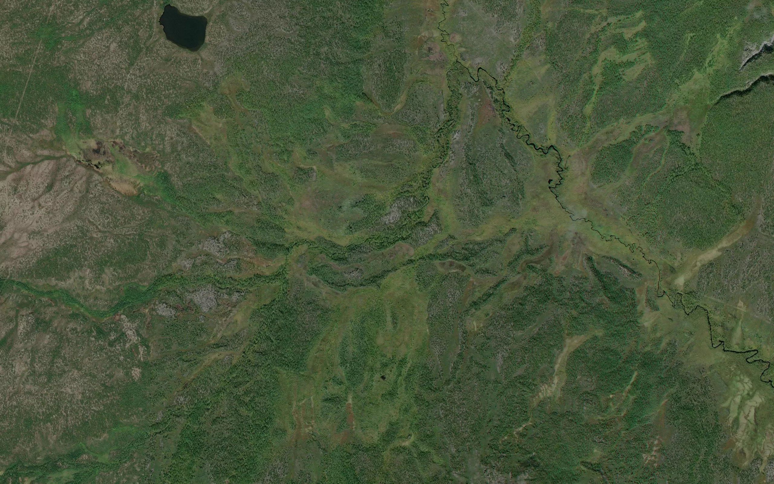 Ammonaja