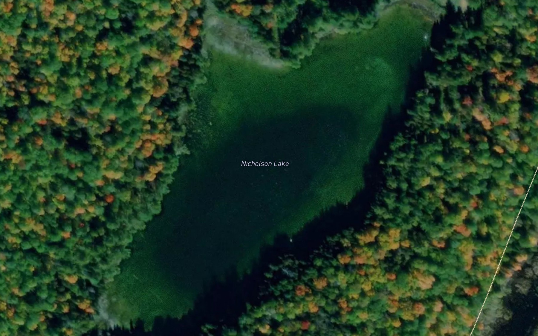 Satellite map of the Nicholson Lake