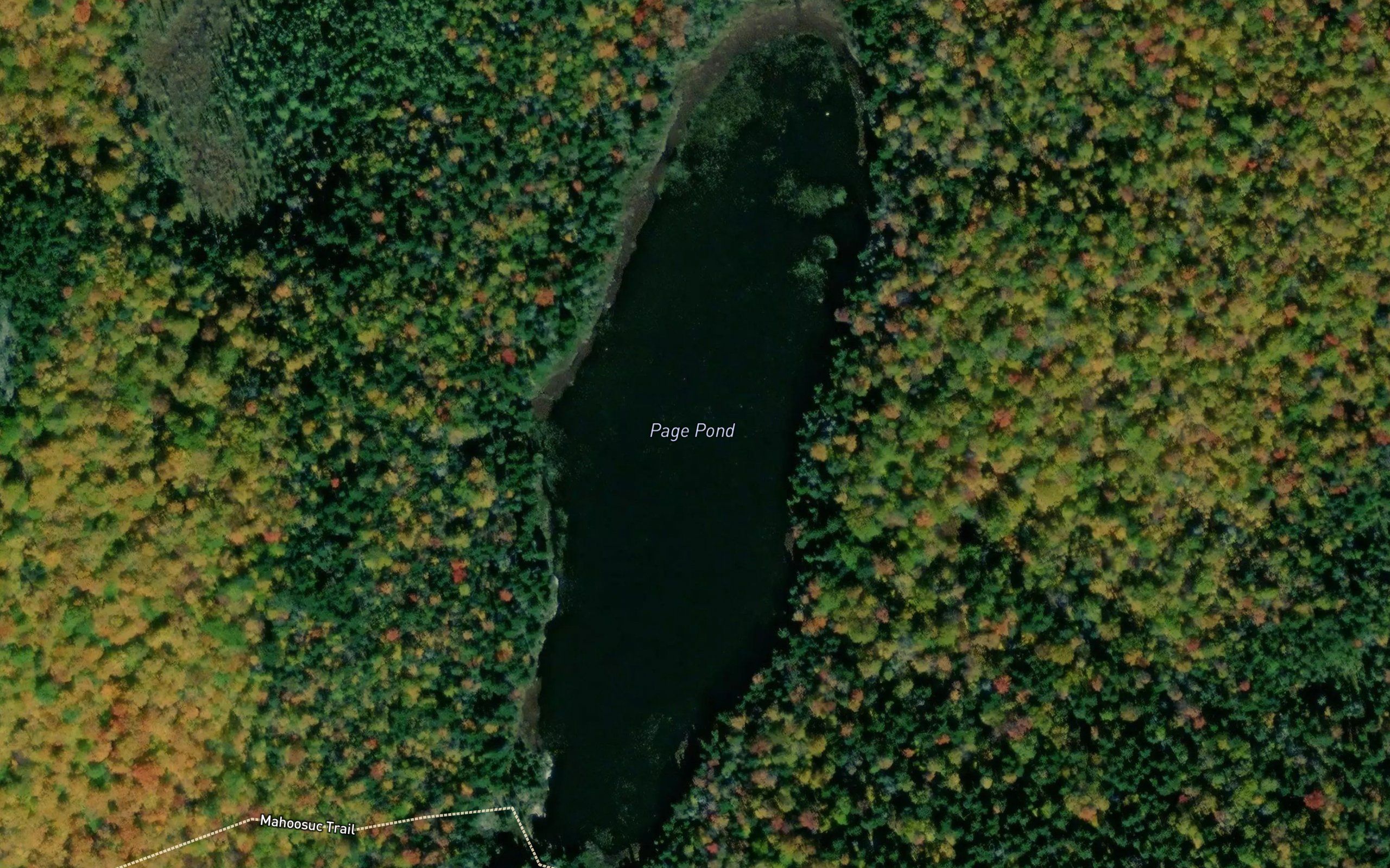 Page Pond