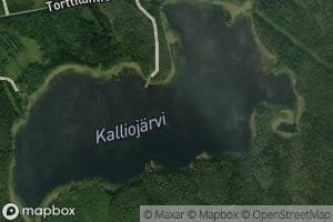 Kalliojarvi
