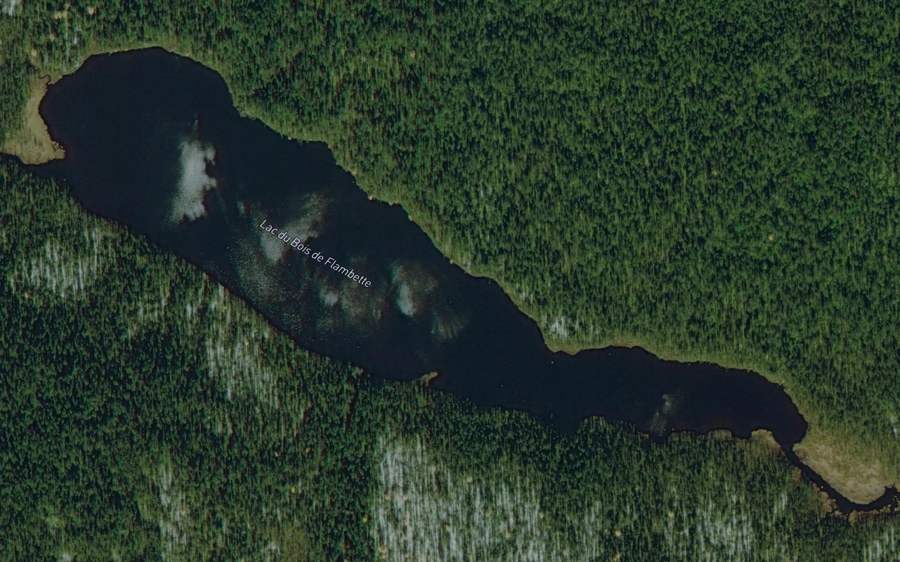 Satellite map of the Lac du Bois de Flambette
