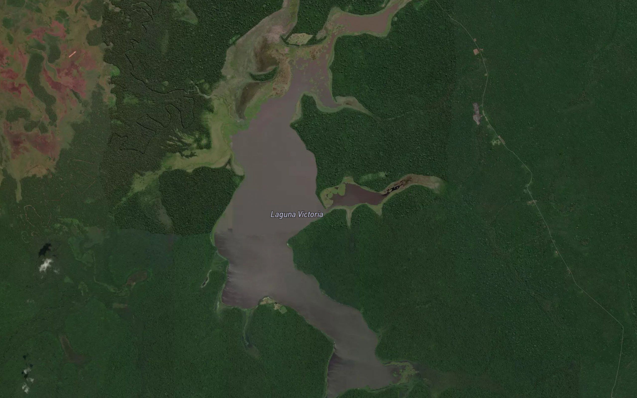 Laguna Victoria