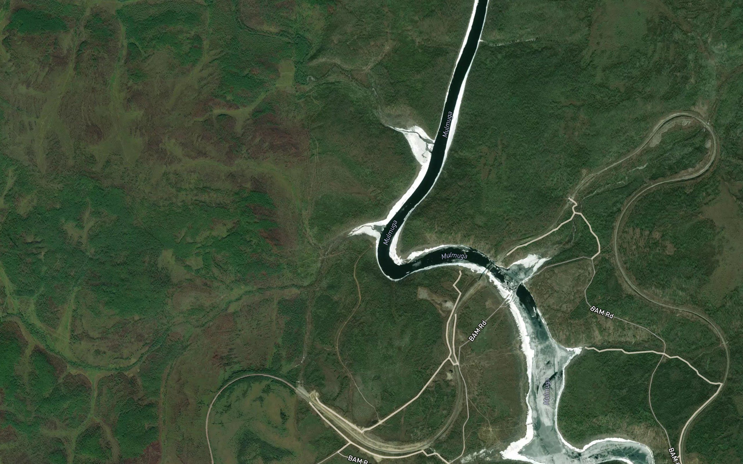 Baralus
