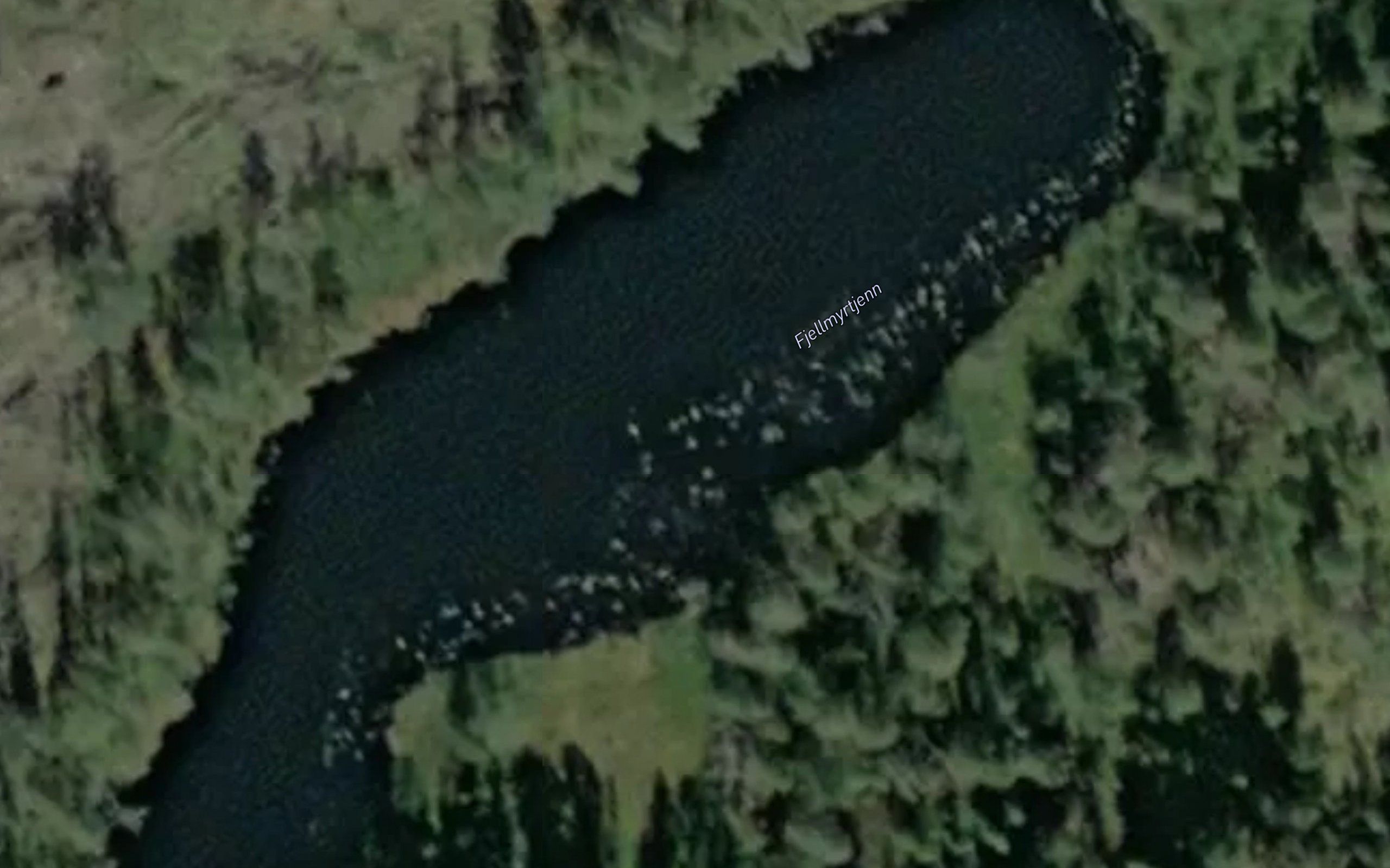 Fjellmyrtjern