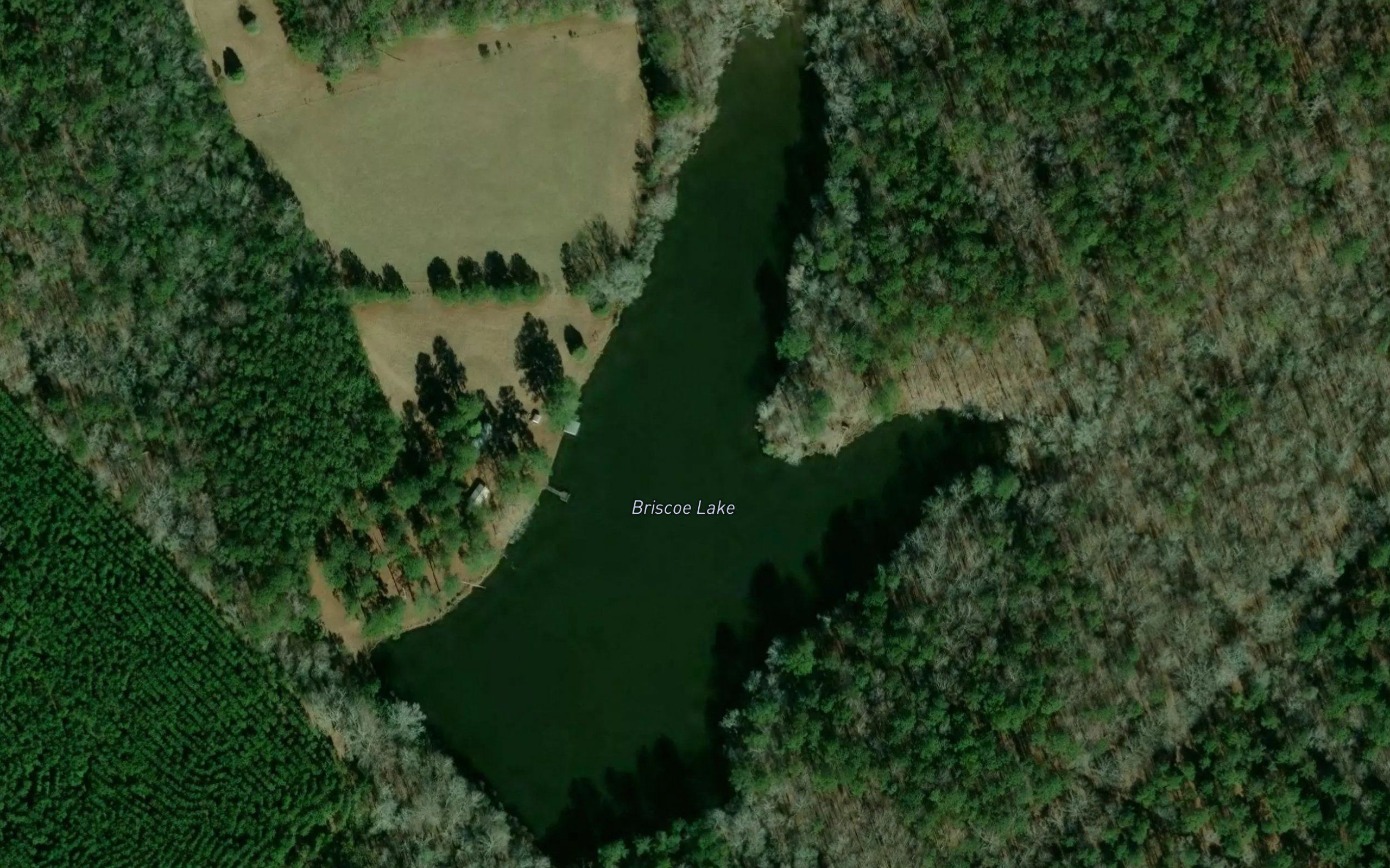 Briscoe Lake