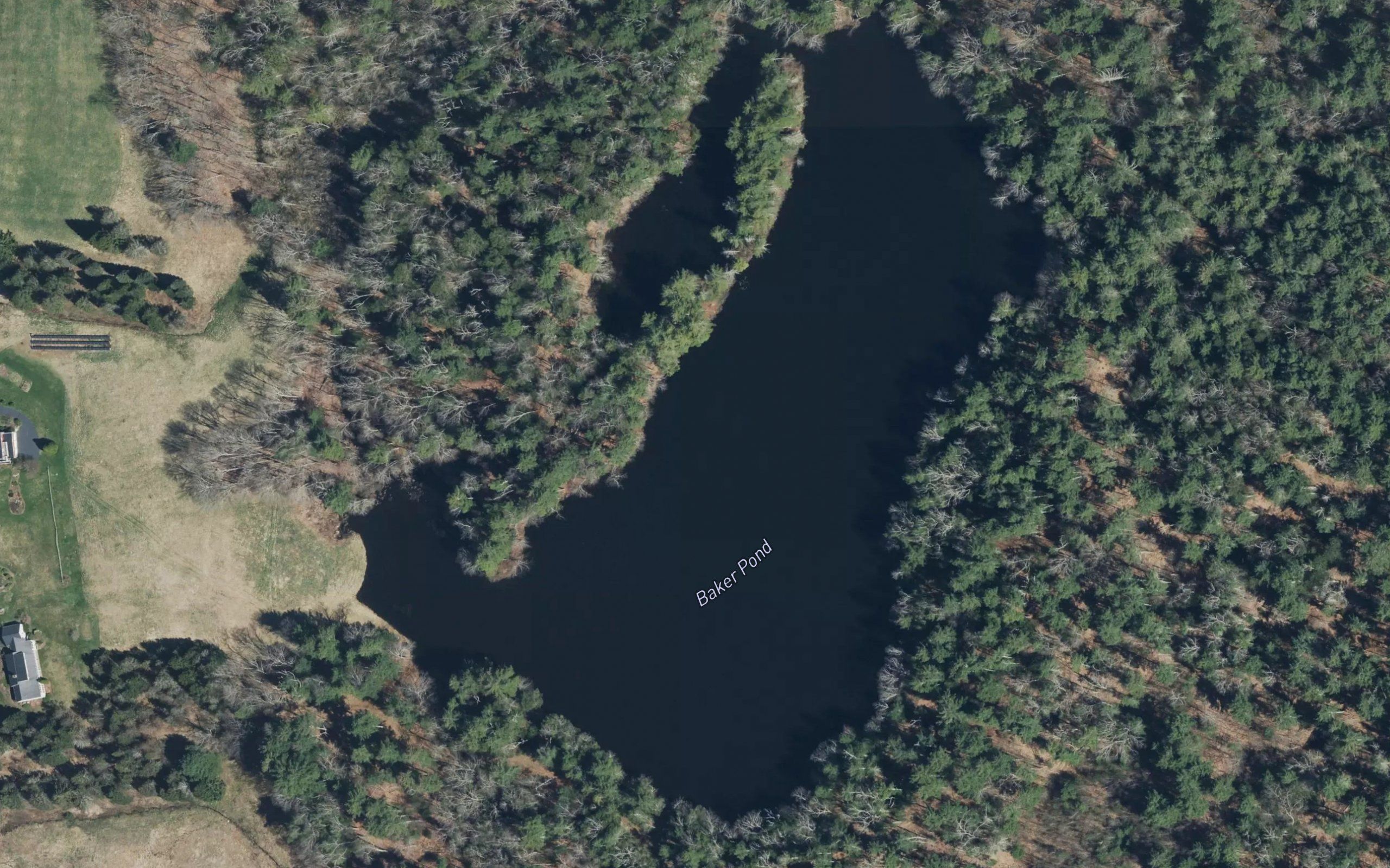Baker Pond