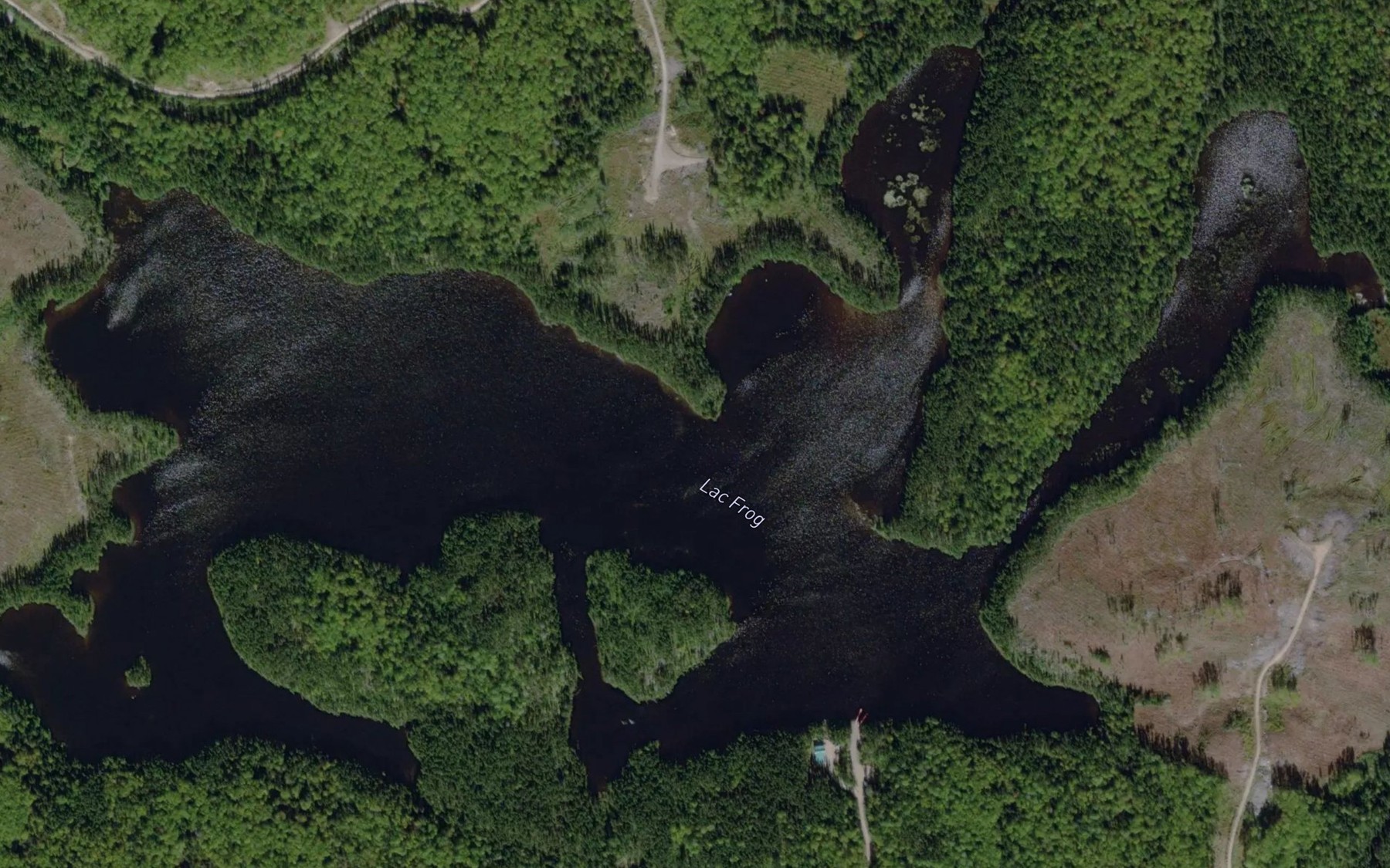Satellite map of the Lac Frog