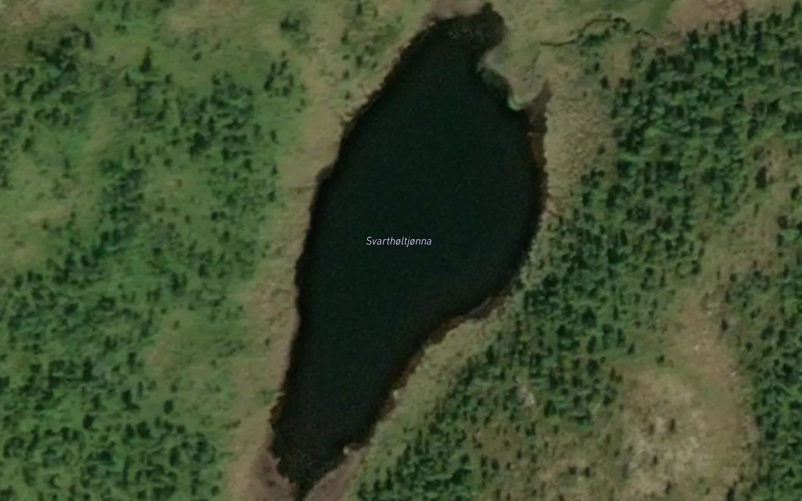 Svartholtjorna