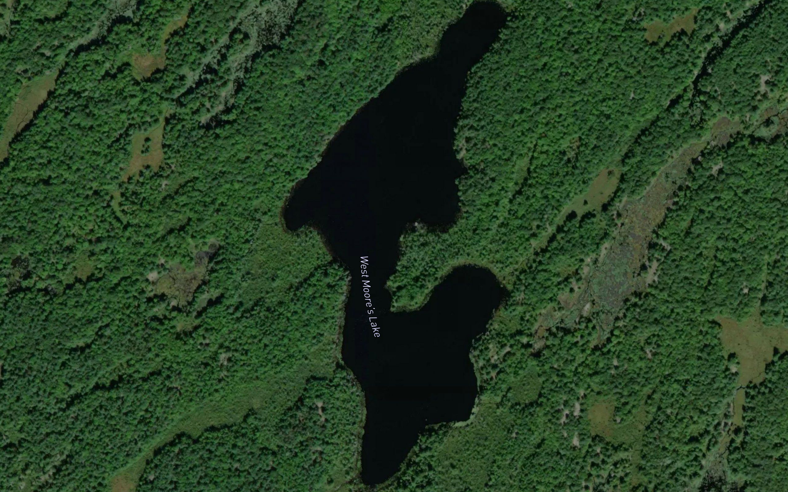 West Moore's Lake