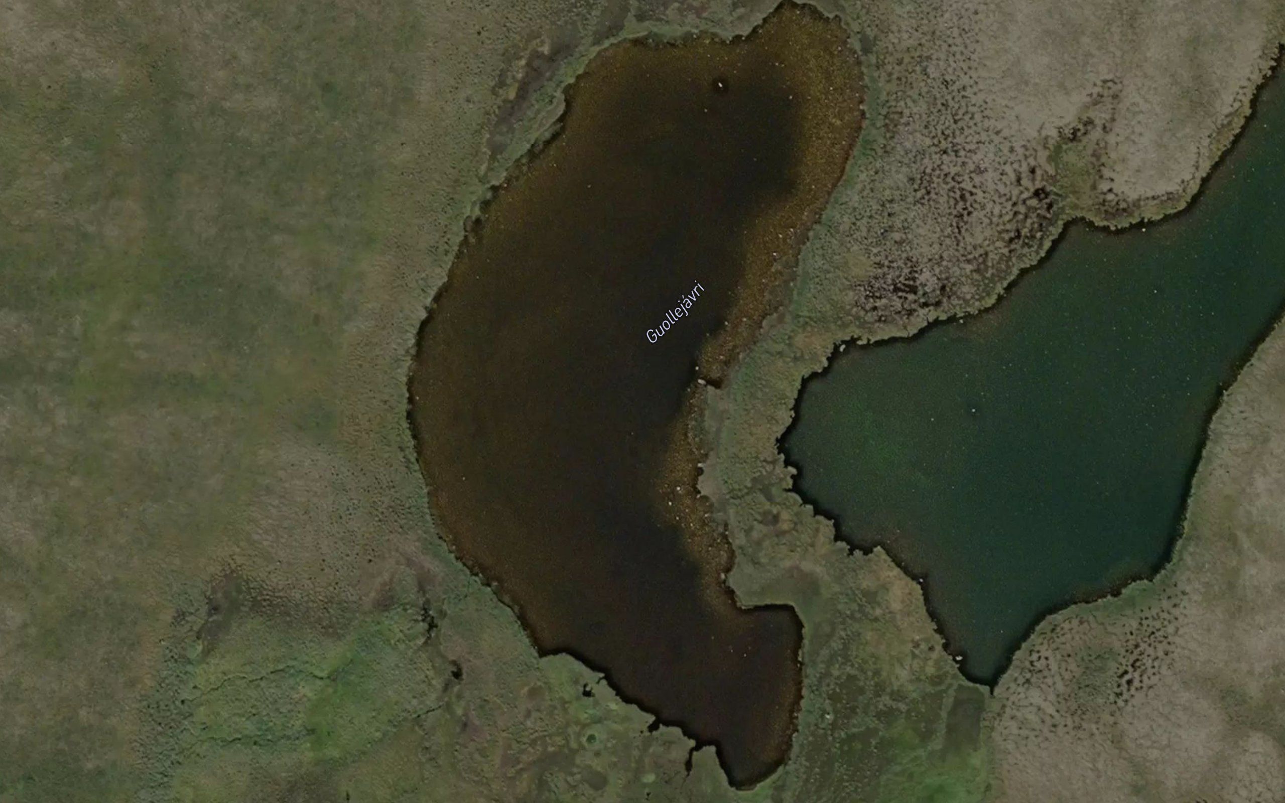 Guollejavri