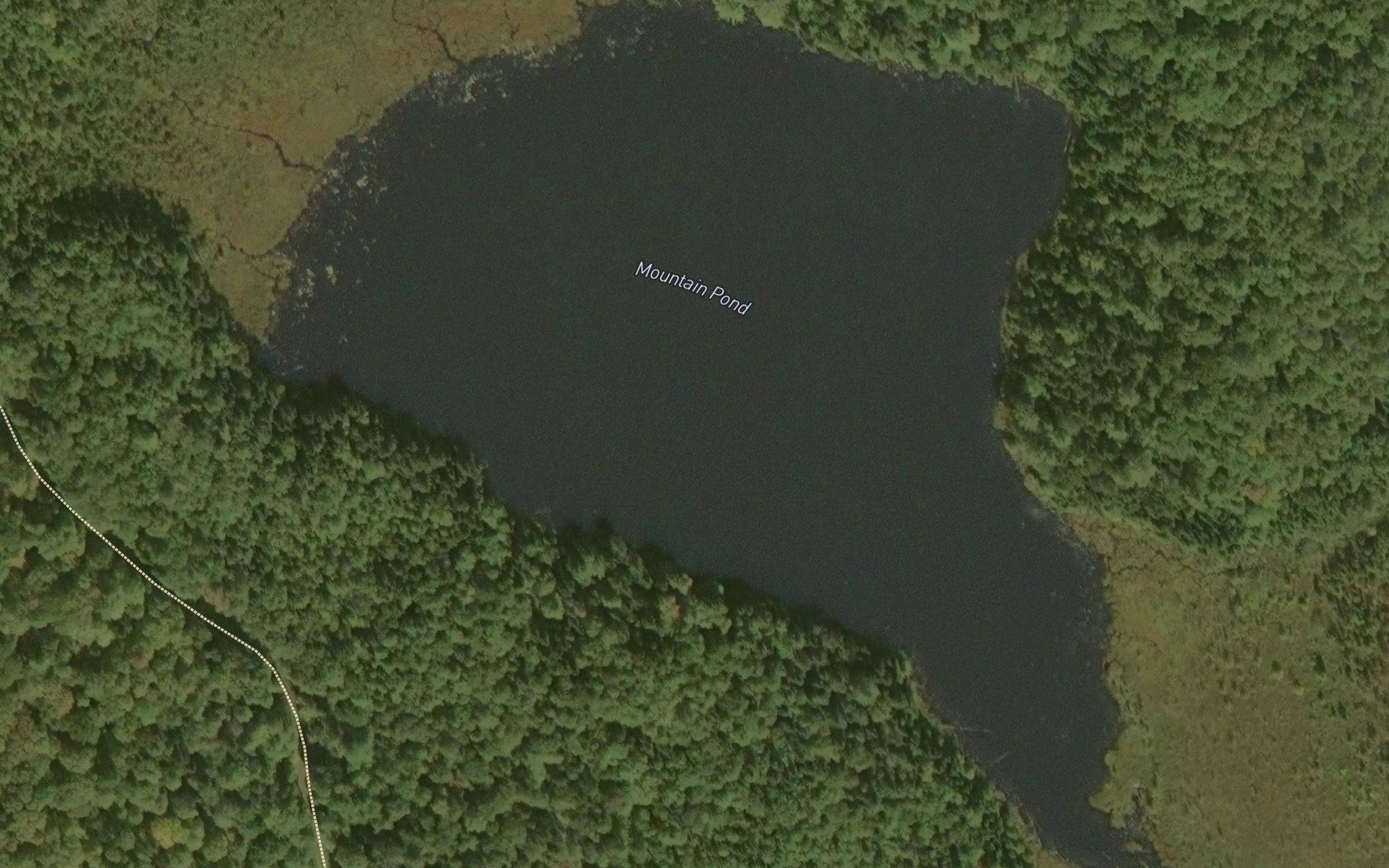 Mountain Pond