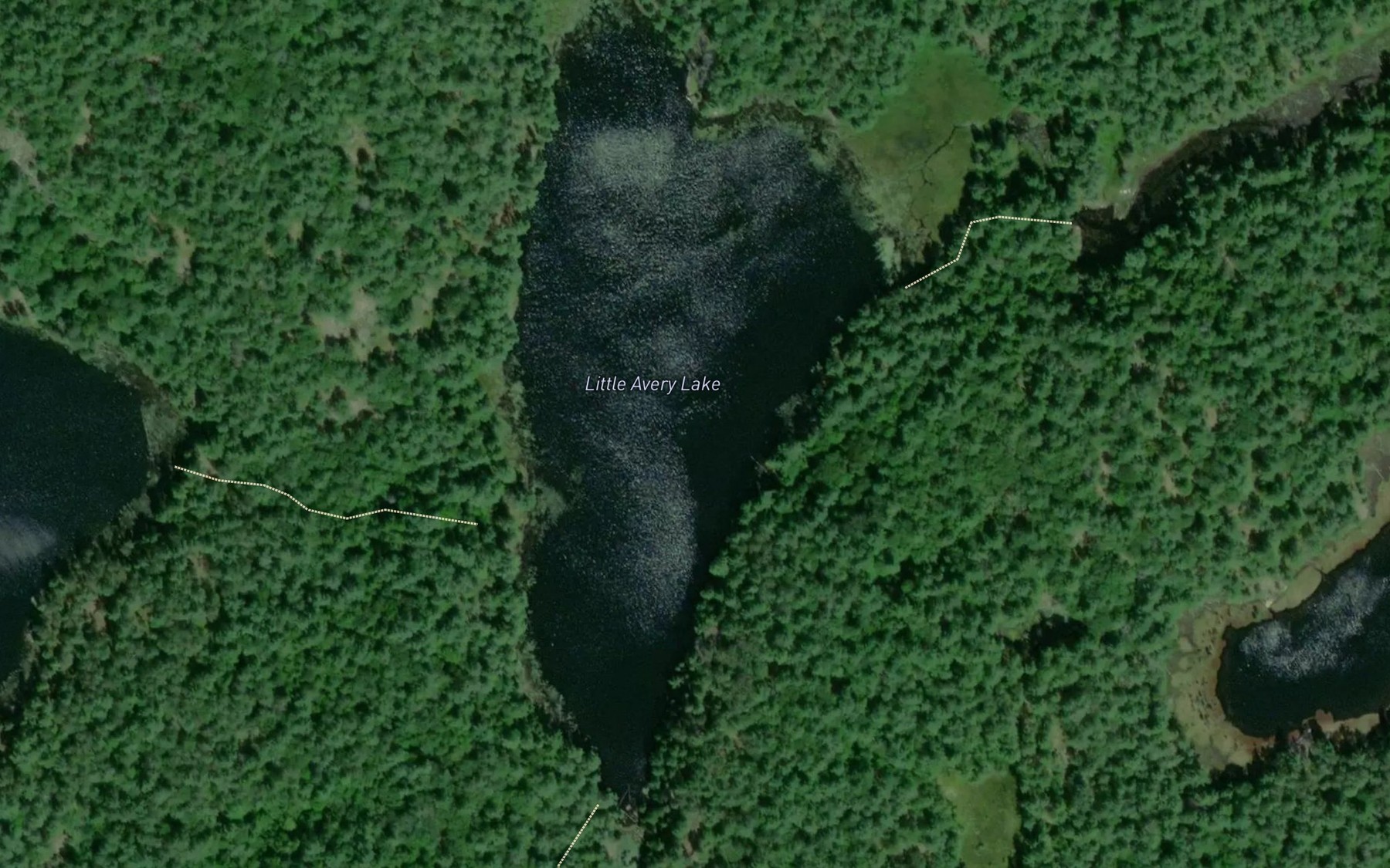 Satellite map of the Little Avery Lake