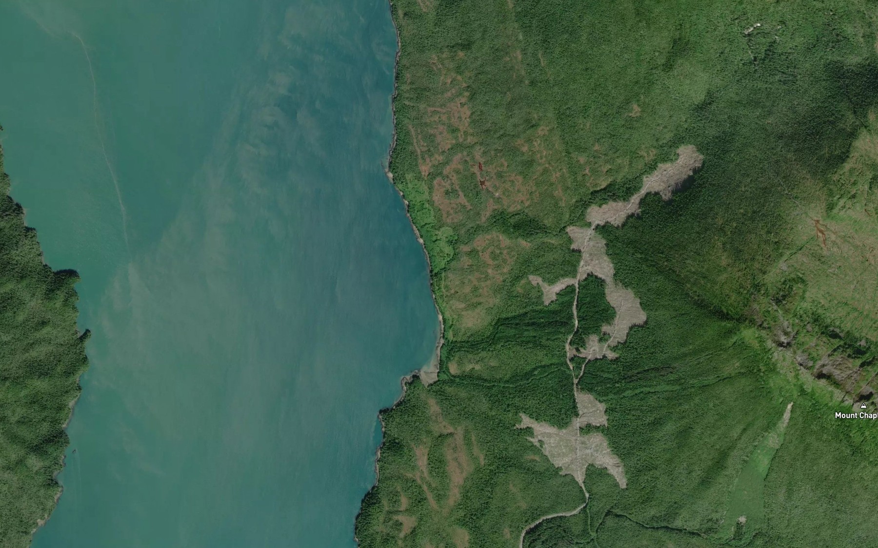 Satellite map of the Standard Creek
