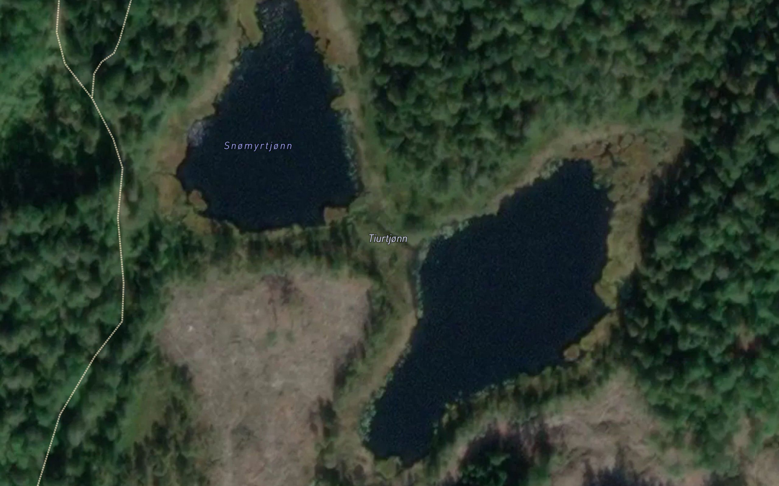Tiurtjonn