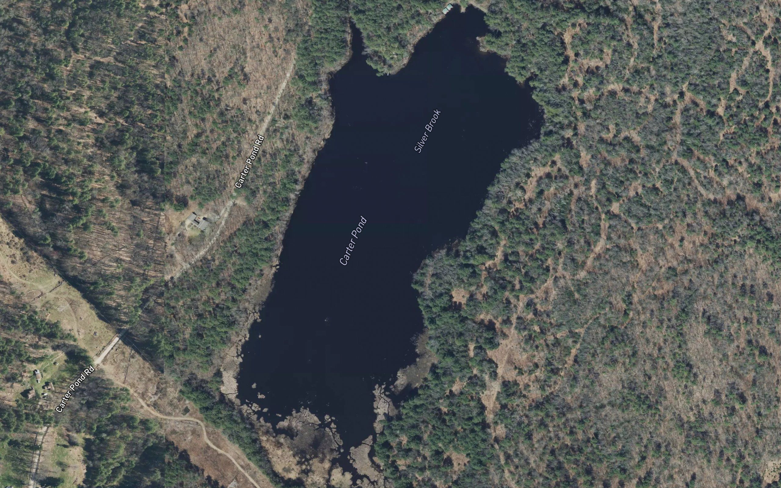 Carter Pond