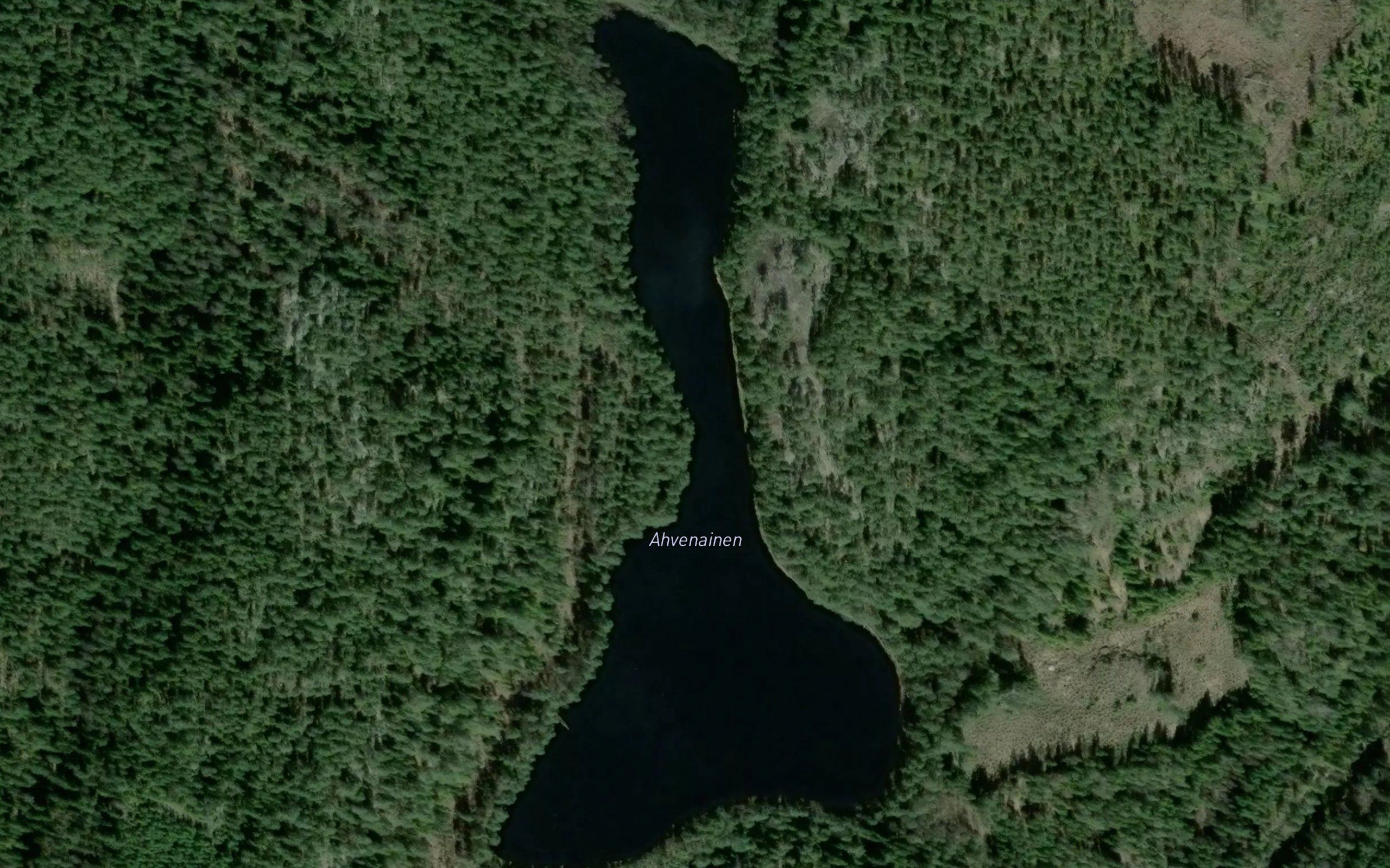 Ahvenainen