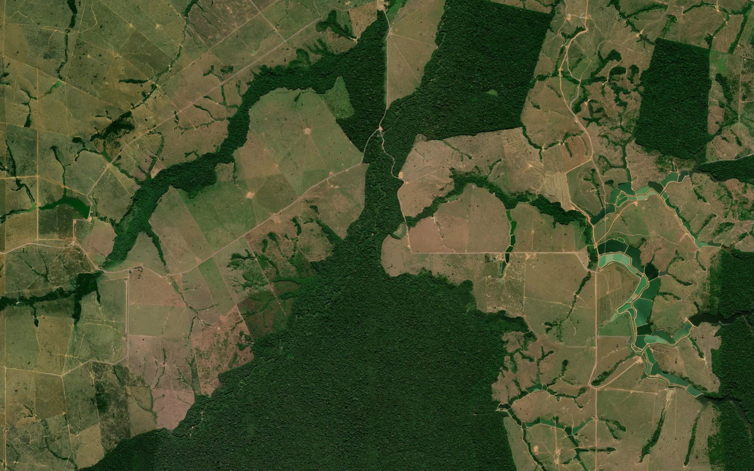 Igarape Agua Azul