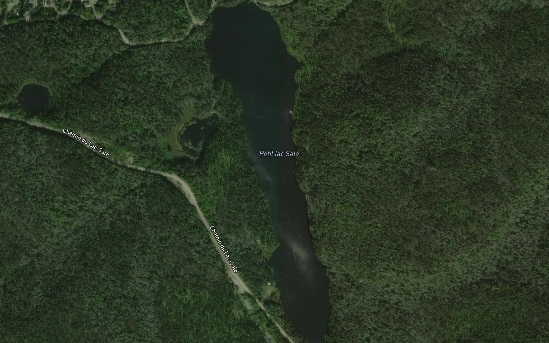 Satellite map of the Petit lac Sale