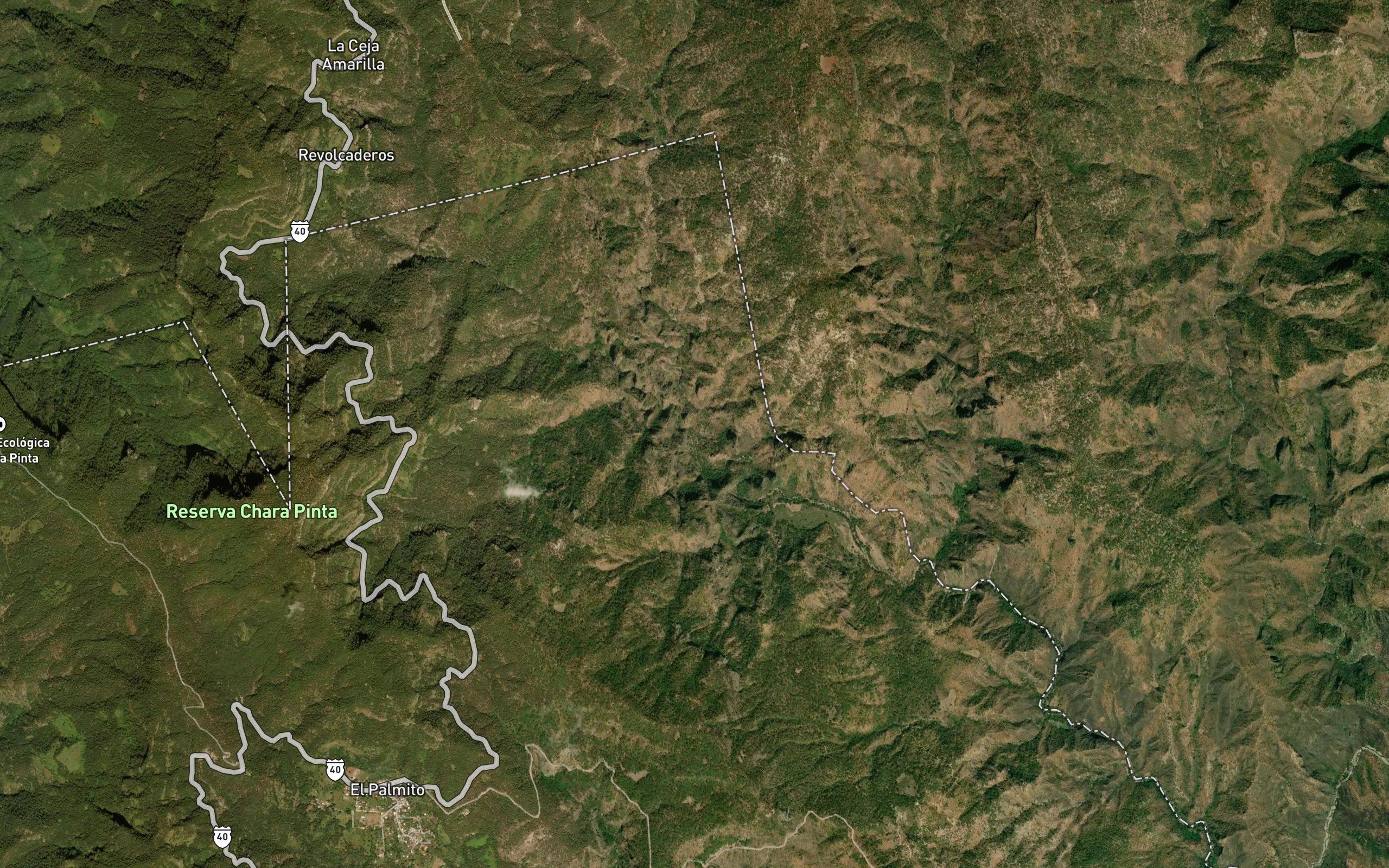 El Magueyal