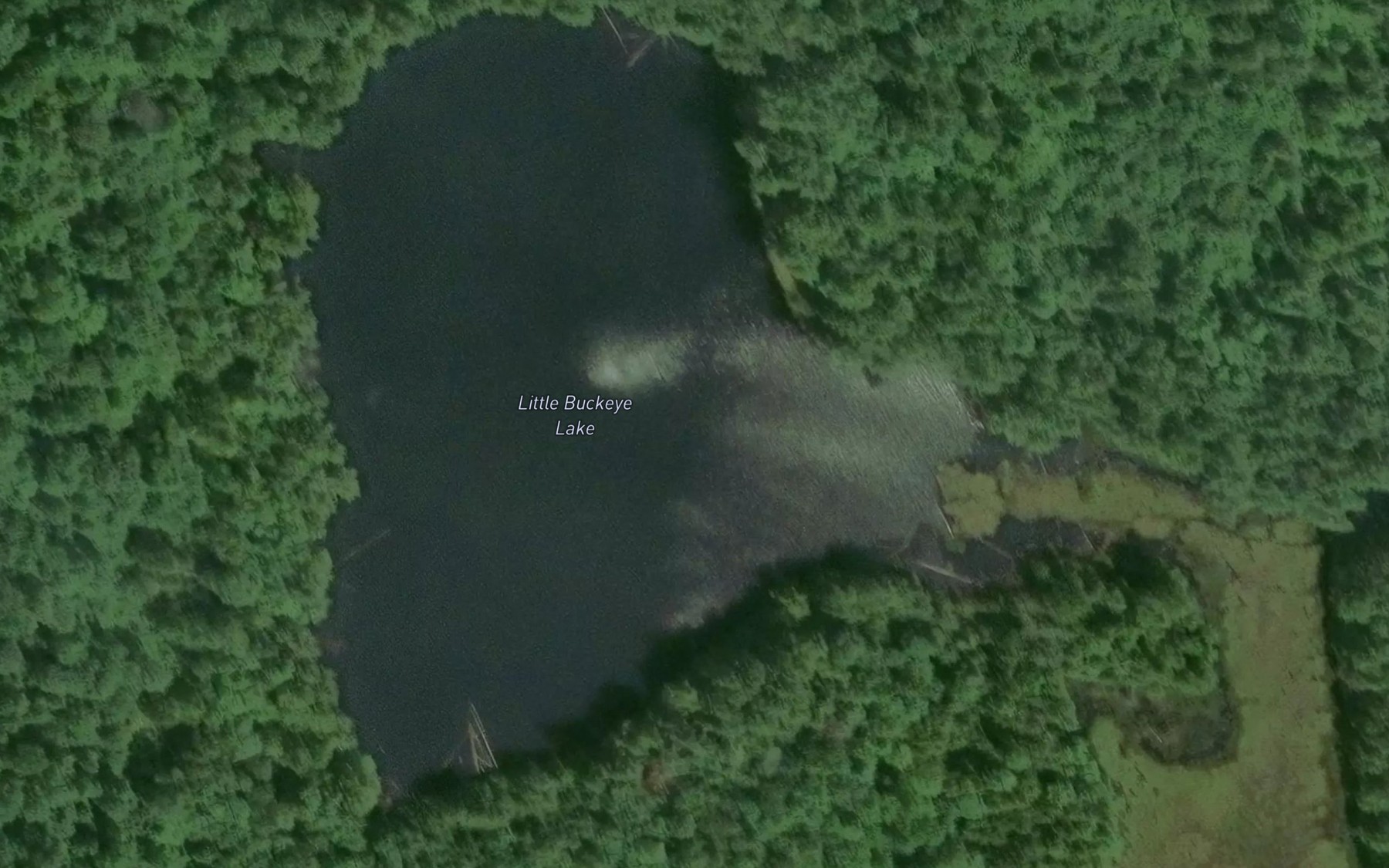 Satellite map of the Little Buckeye Lake