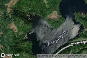 Litl - Oyungen
