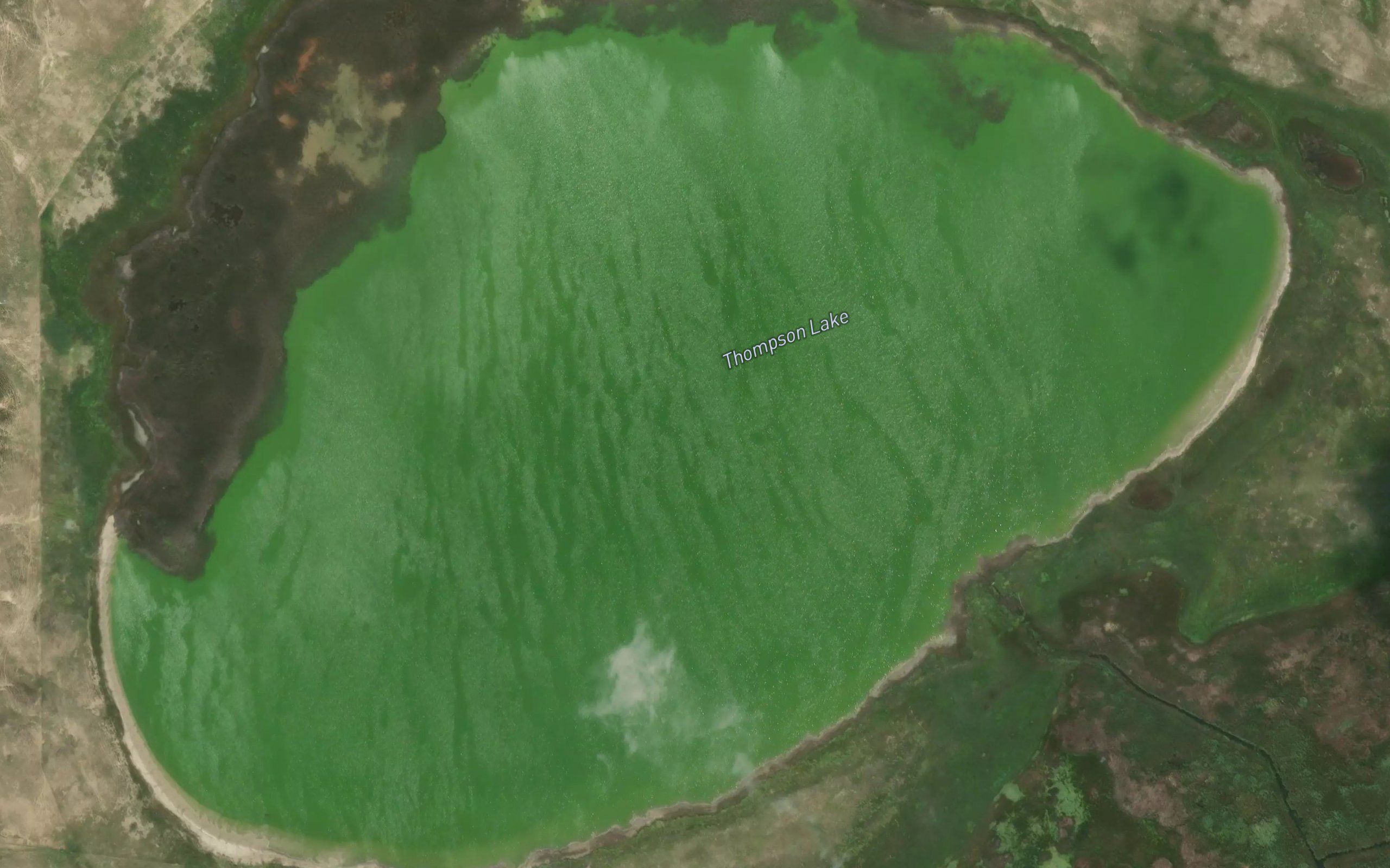 Thompson Lake