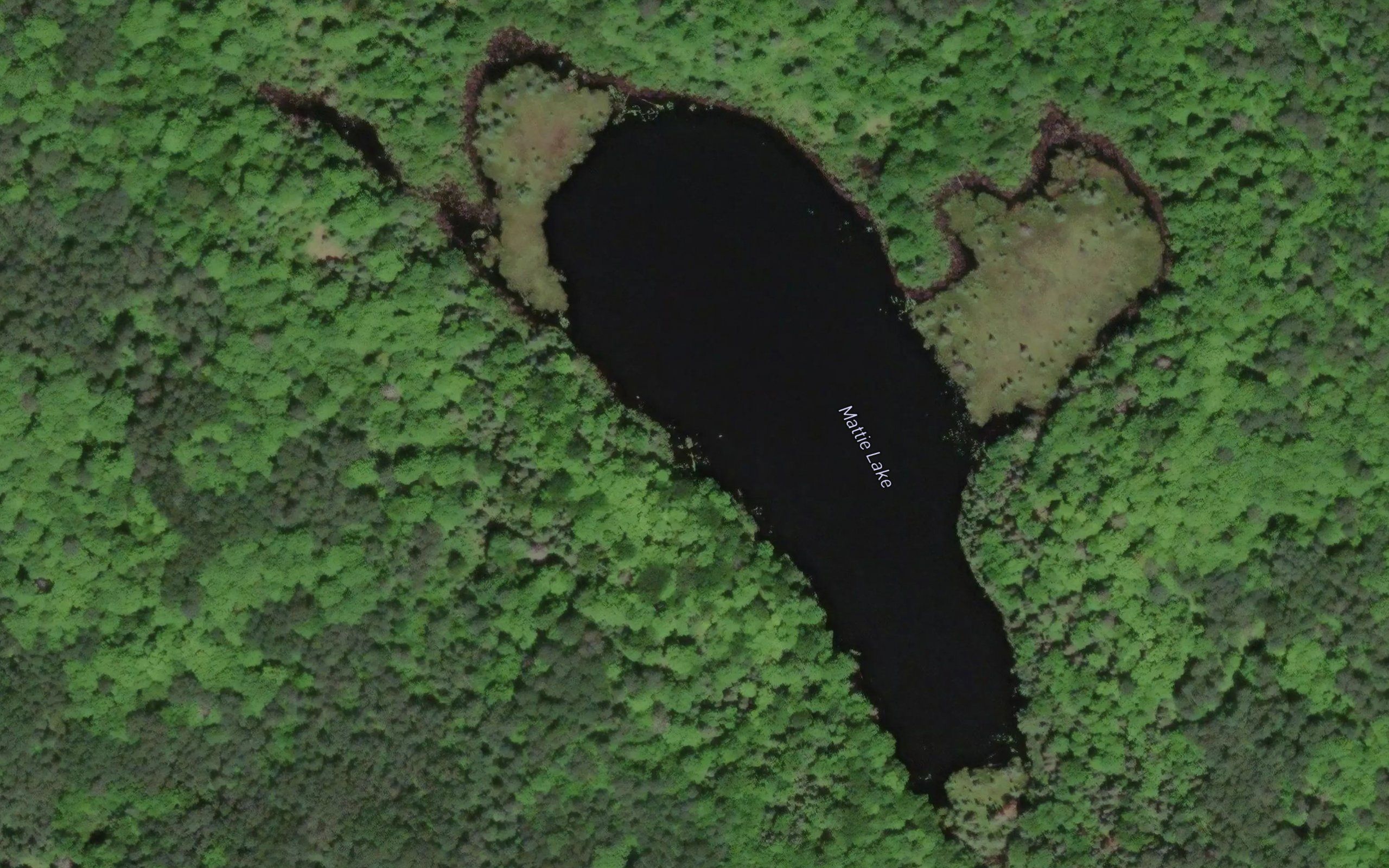 Mattie Lake