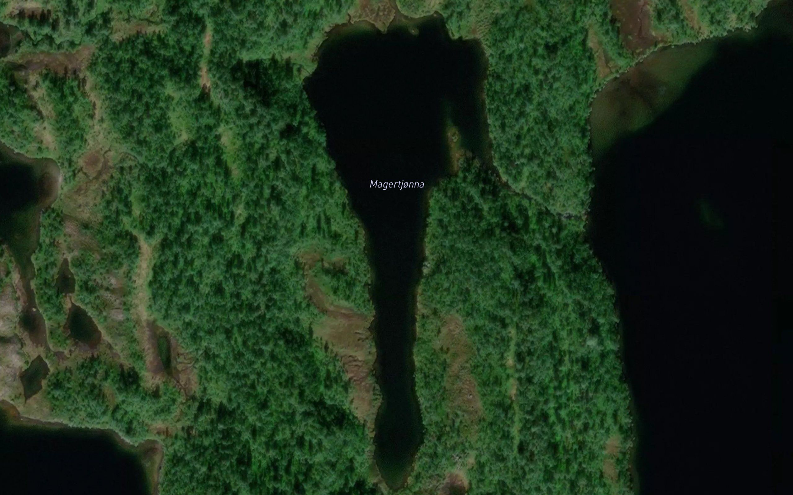 Magertjonna