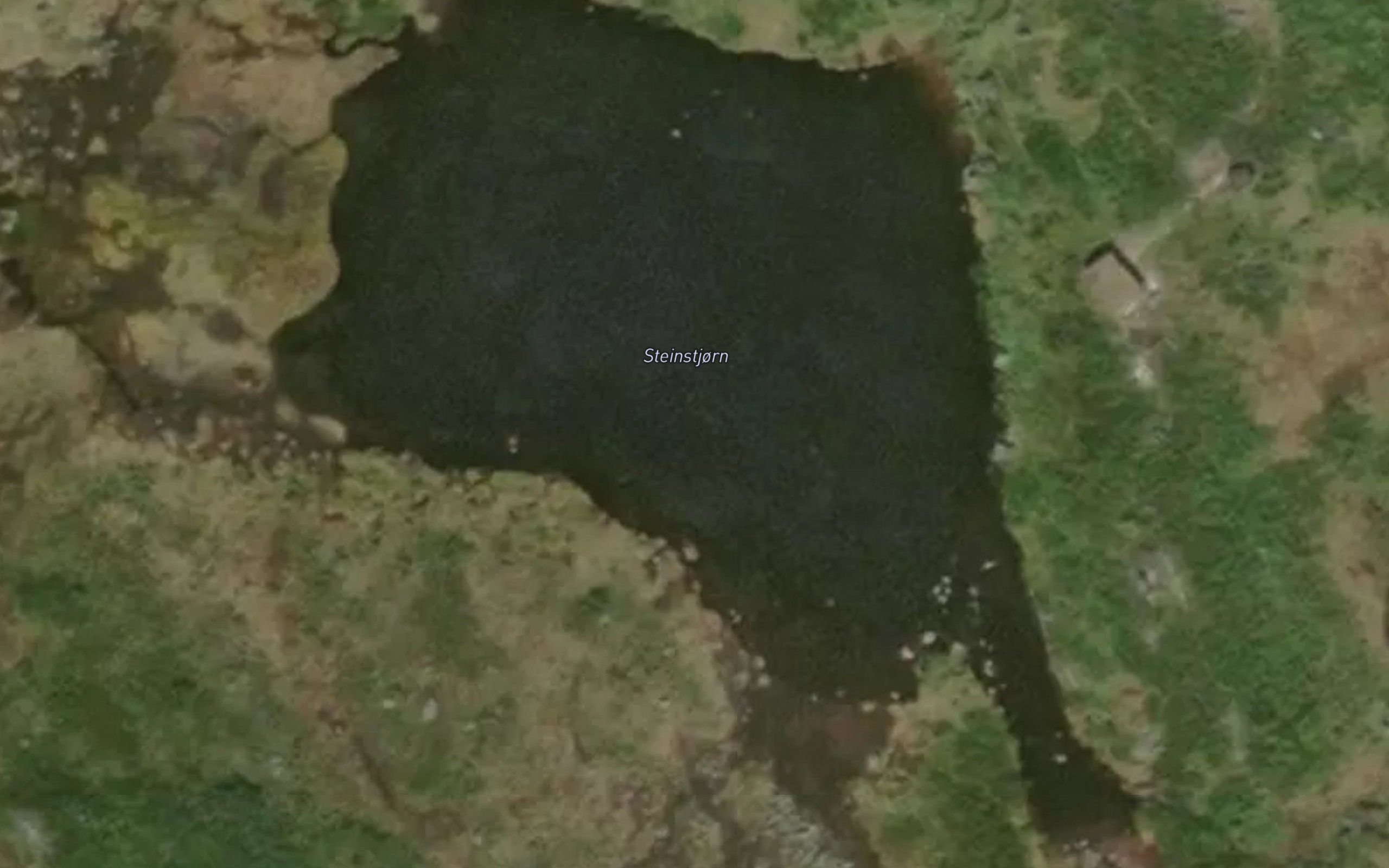 Steinstjorn