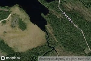 Iso Hakojoki