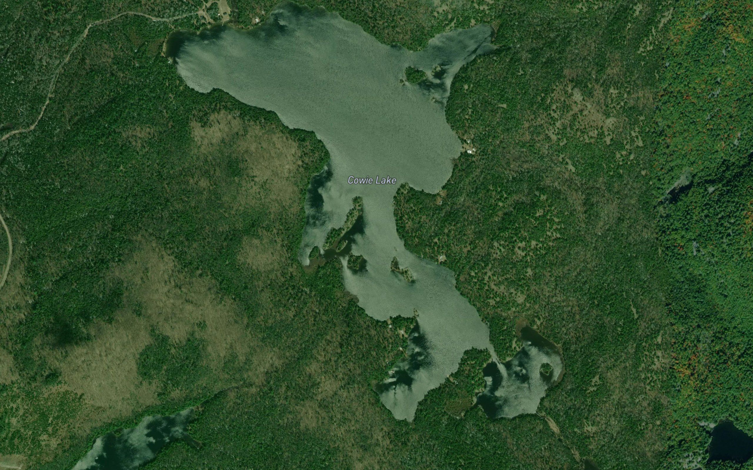 Cowie Lake