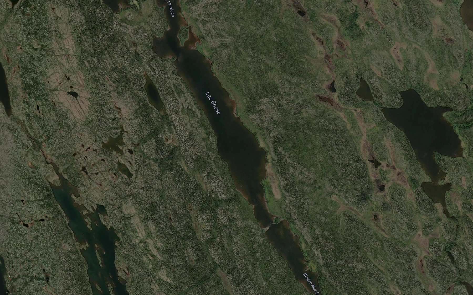 Satellite map of the Lac Goose