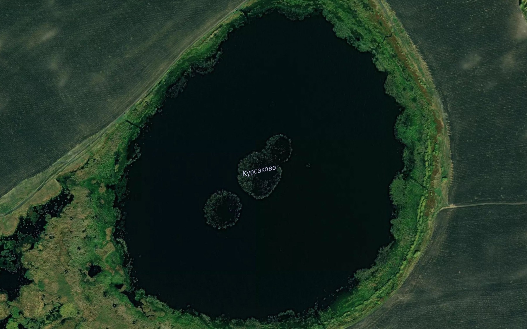 Satellite map of the Ozero Kursakovo