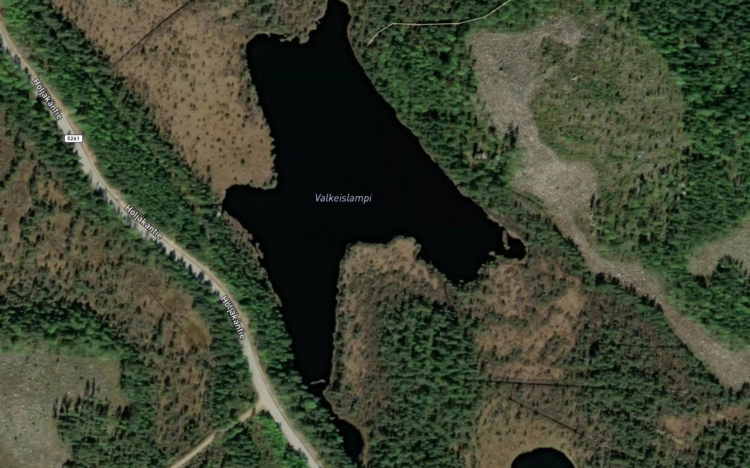 Valkeislammit
