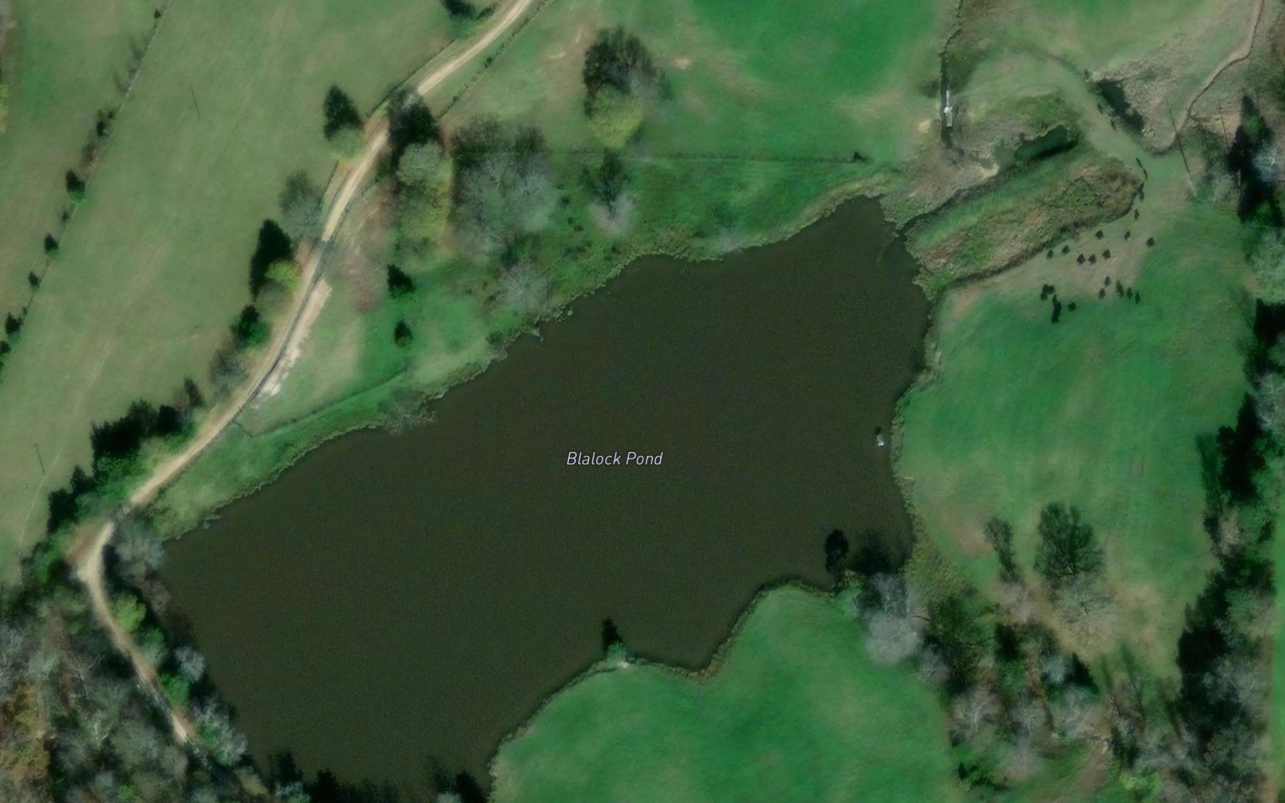Blalock Pond
