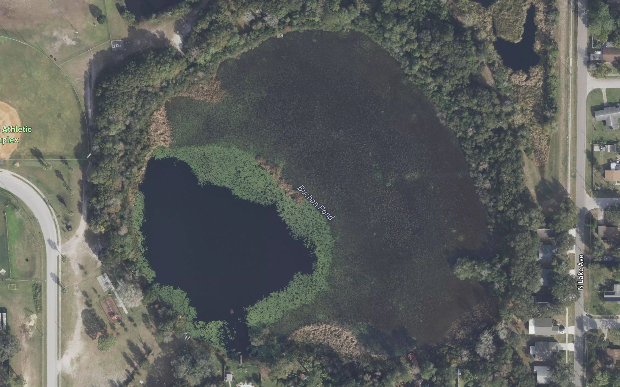Buchan Pond