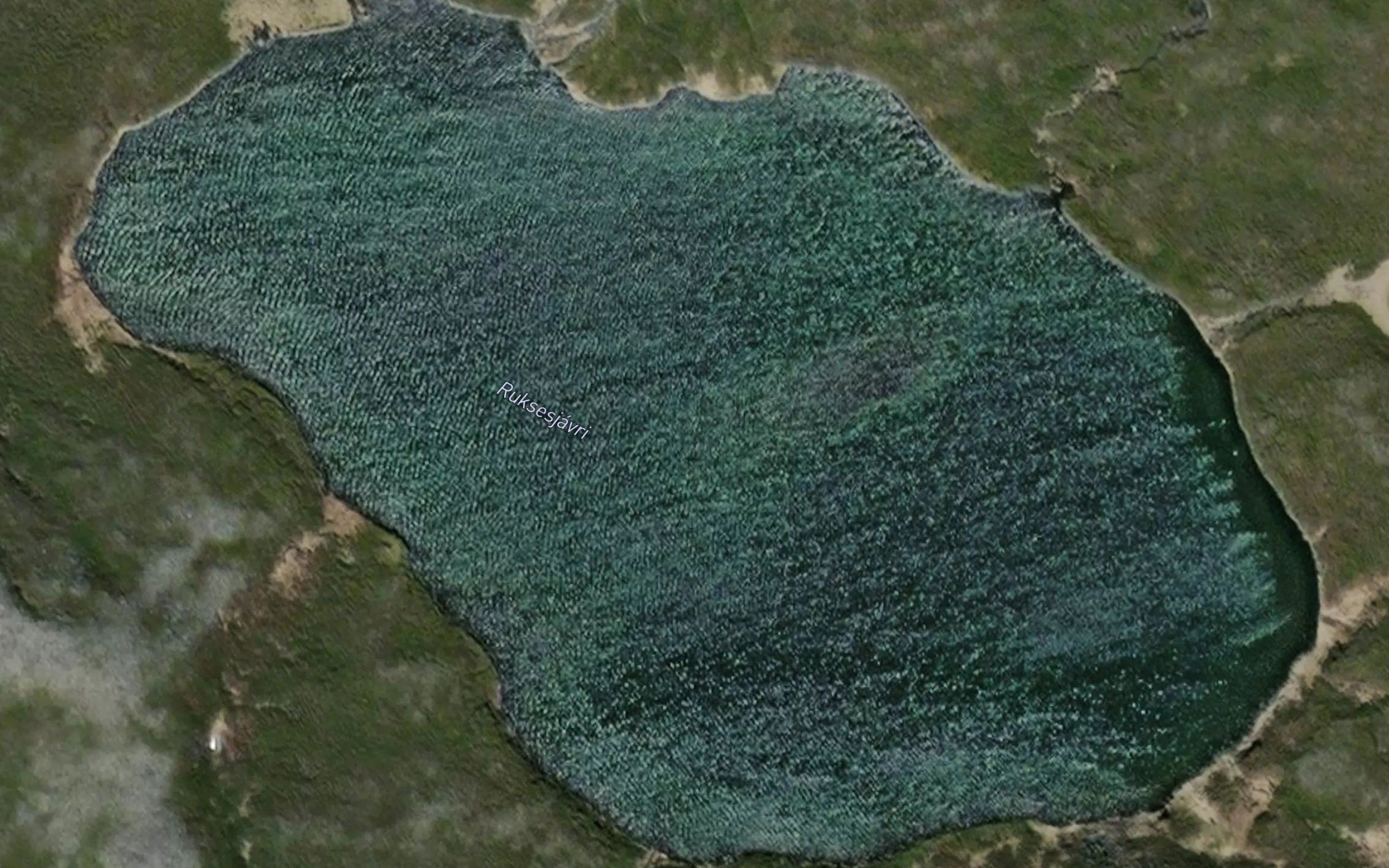 Ruksesjavri