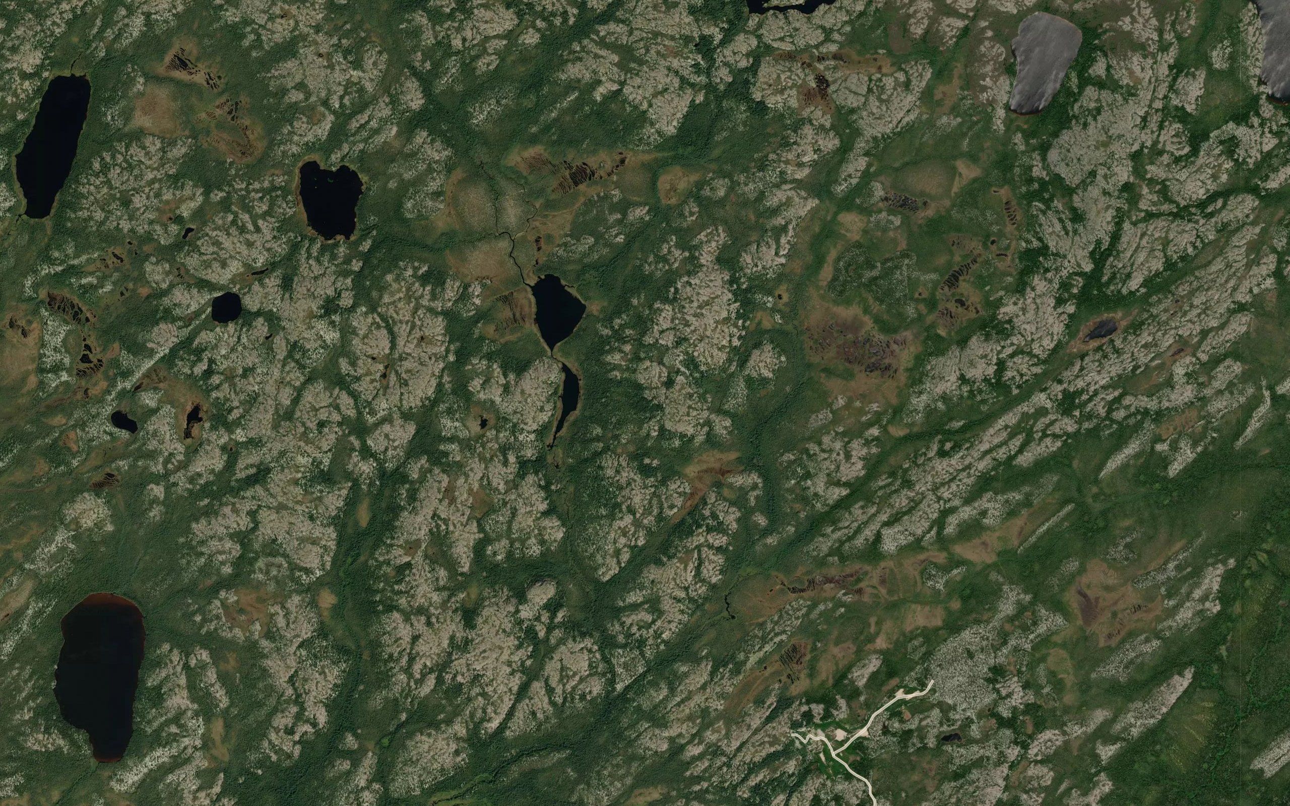 Lacs Kaupasich