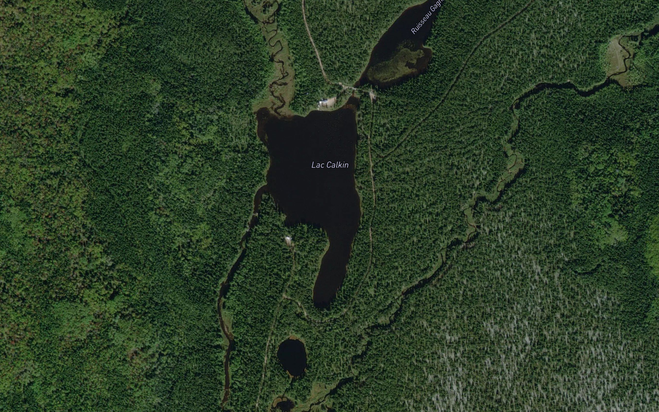 Lac Calkin