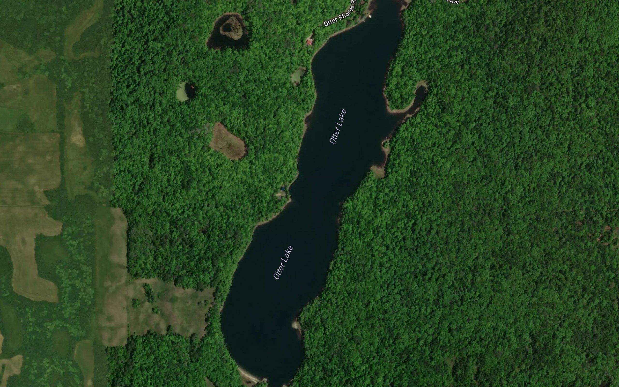 Otter Lake