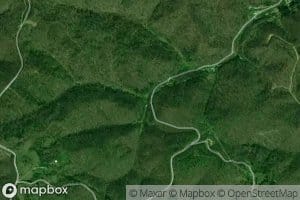 Tom Christian Branch