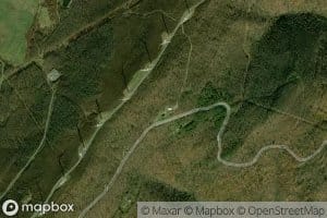 Donald Brumage Spring