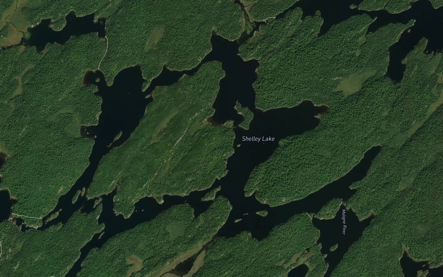 Satellite map of the Shelley Lake