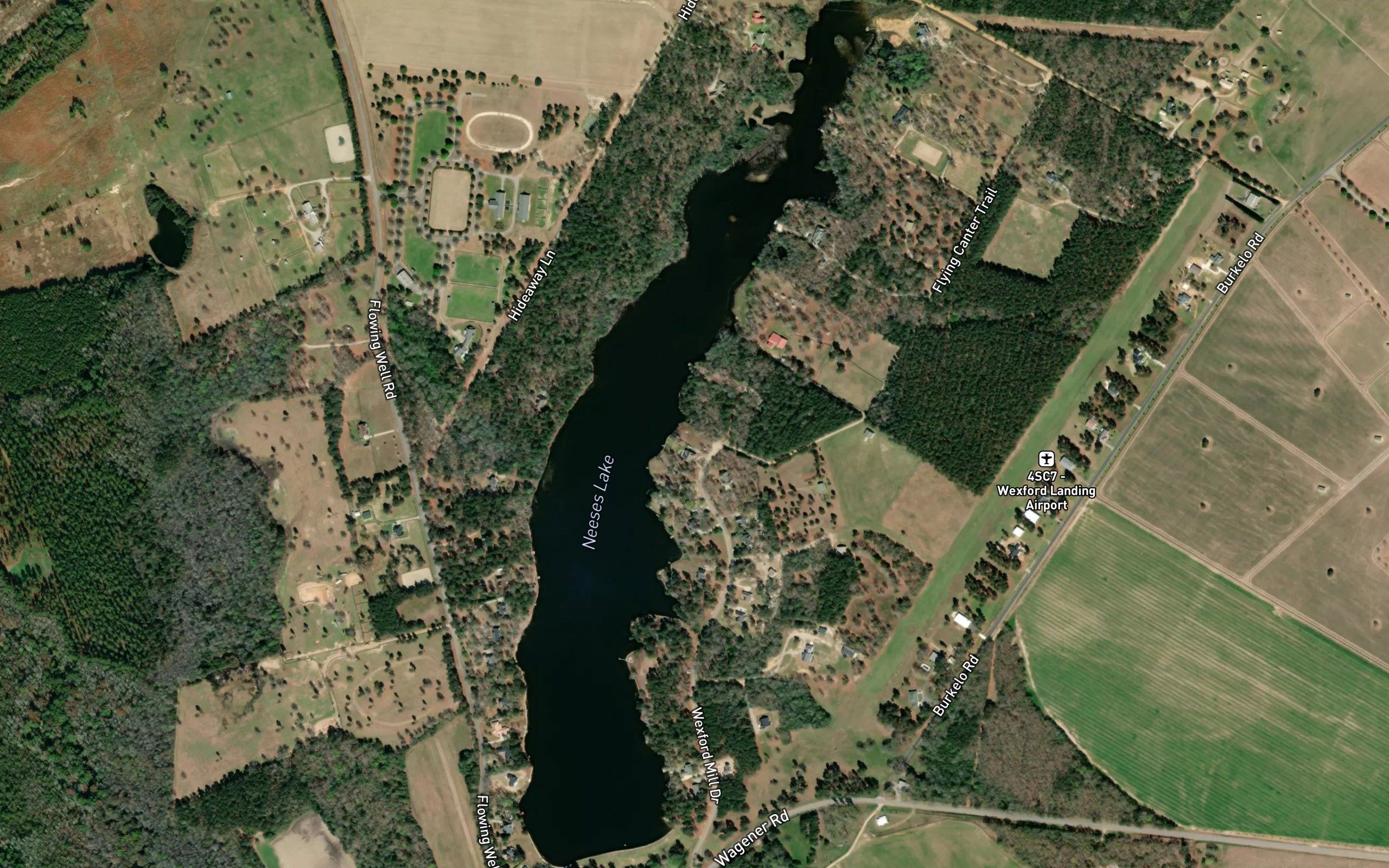 Neeses Lake