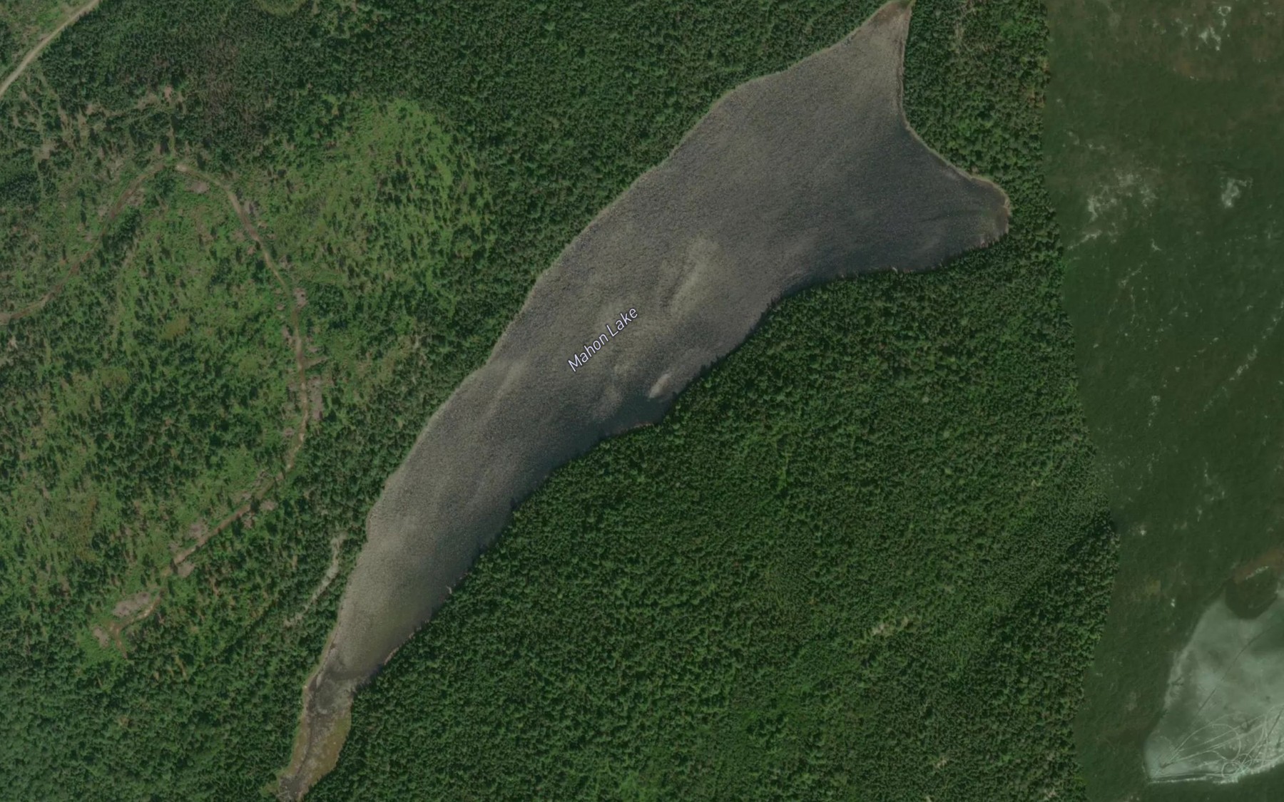 Satellite map of the Mahon Lake