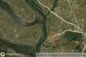 Chibofwe