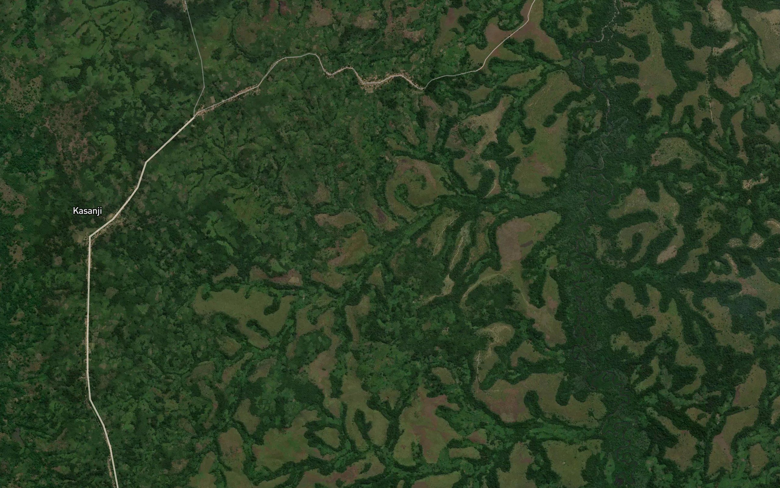 Kangaluka