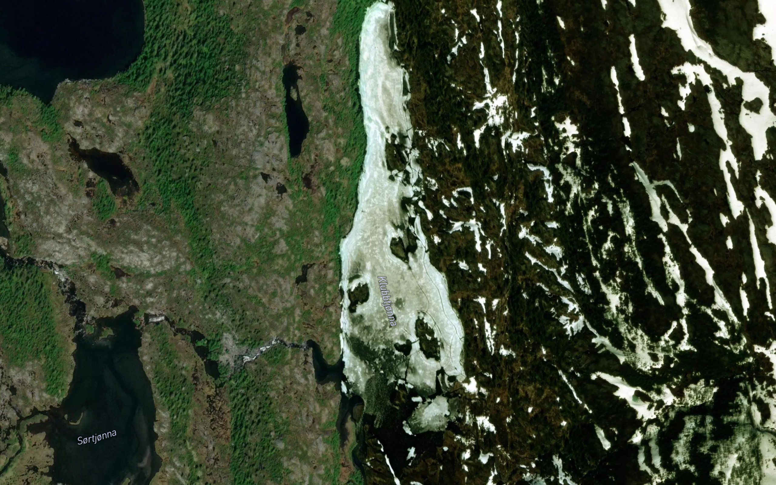 Klubbtjorna